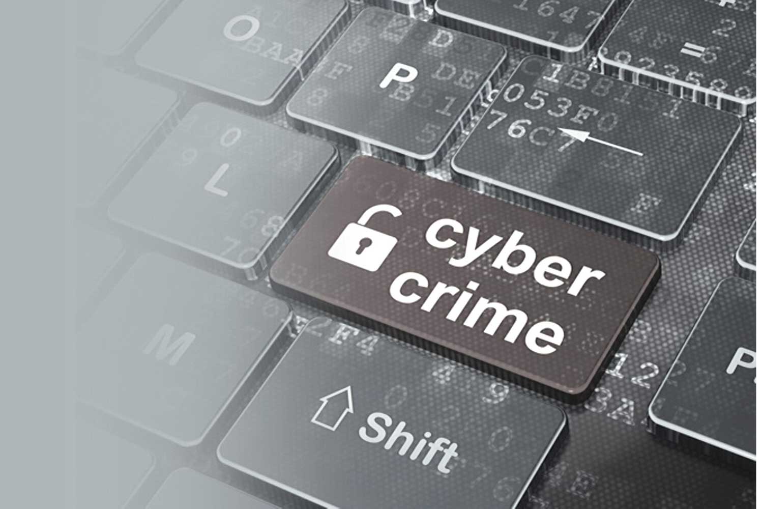 anti cybercrime logo